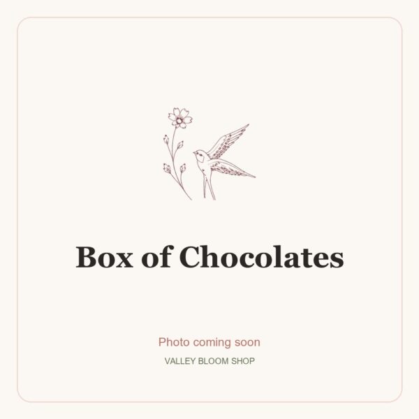 Box of Chocolates